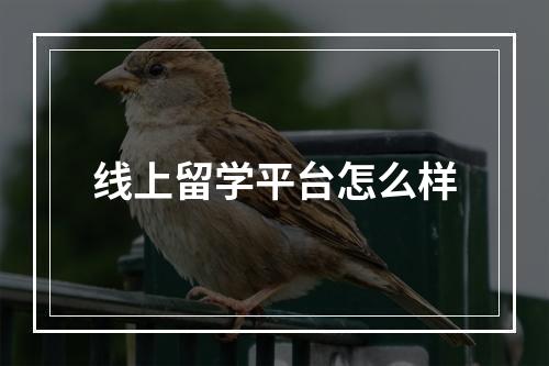 线上留学平台怎么样