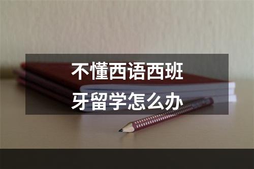 不懂西语西班牙留学怎么办