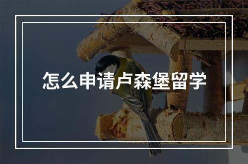 怎么申请卢森堡留学