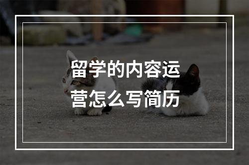 留学的内容运营怎么写简历