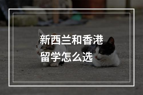 新西兰和香港留学怎么选