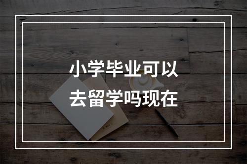 小学毕业可以去留学吗现在