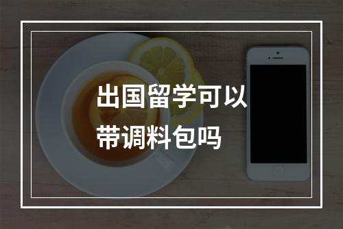 出国留学可以带调料包吗