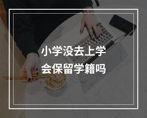 小学没去上学会保留学籍吗