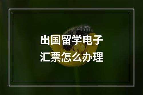 出国留学电子汇票怎么办理