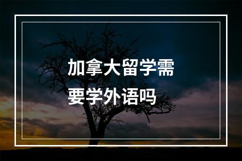 加拿大留学需要学外语吗