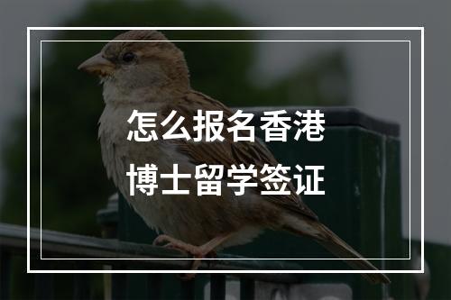 怎么报名香港博士留学签证