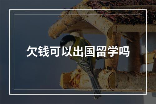 欠钱可以出国留学吗