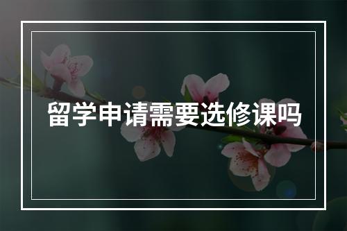 留学申请需要选修课吗