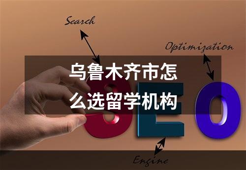 乌鲁木齐市怎么选留学机构