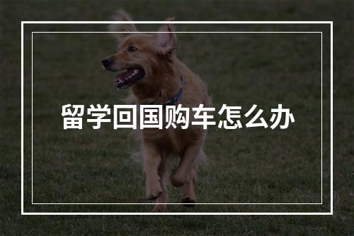 留学回国购车怎么办