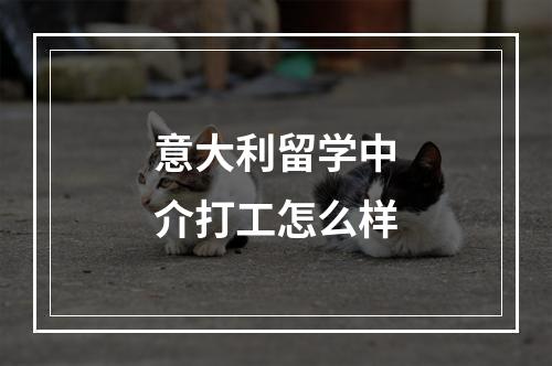 意大利留学中介打工怎么样