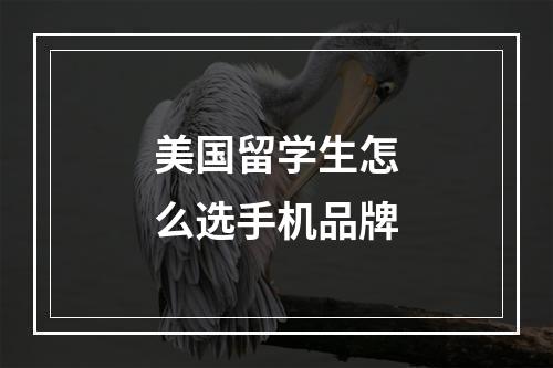 美国留学生怎么选手机品牌