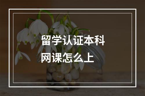 留学认证本科网课怎么上