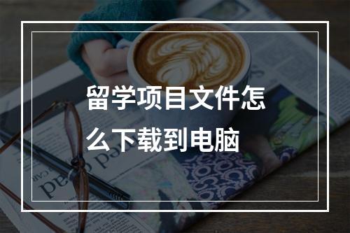 留学项目文件怎么下载到电脑