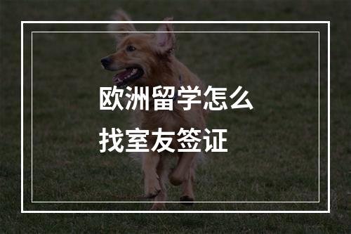 欧洲留学怎么找室友签证