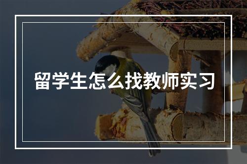 留学生怎么找教师实习