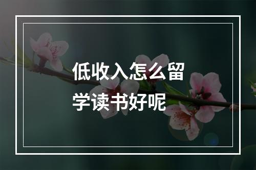 低收入怎么留学读书好呢