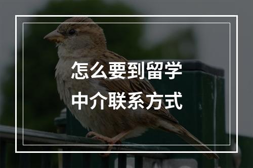 怎么要到留学中介联系方式