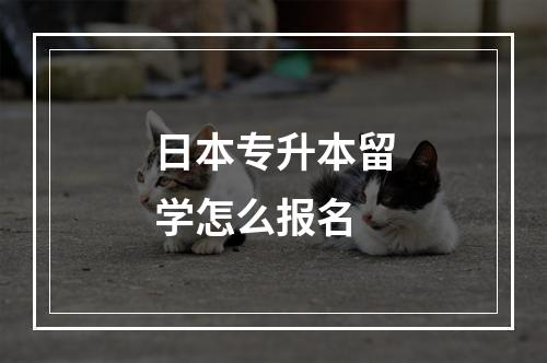 日本专升本留学怎么报名