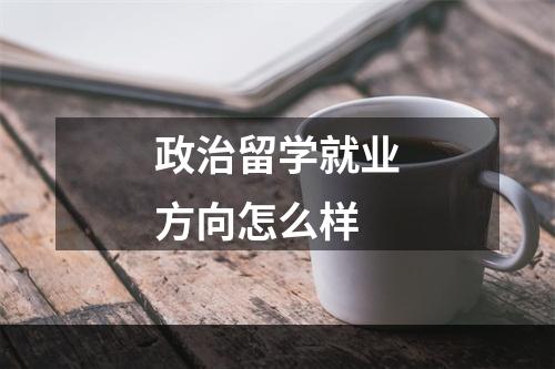 政治留学就业方向怎么样