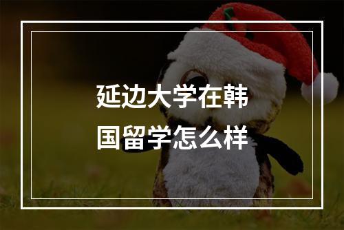 延边大学在韩国留学怎么样