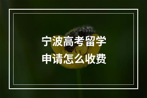 宁波高考留学申请怎么收费