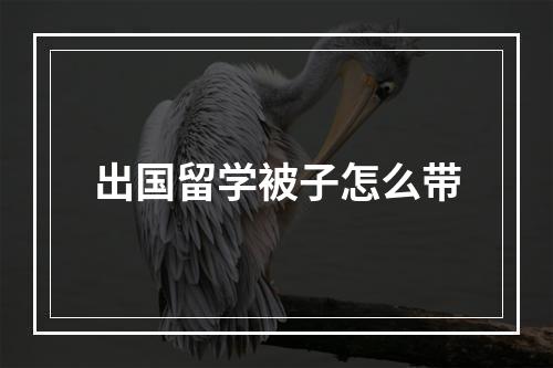 出国留学被子怎么带