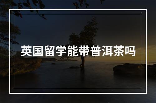 英国留学能带普洱茶吗