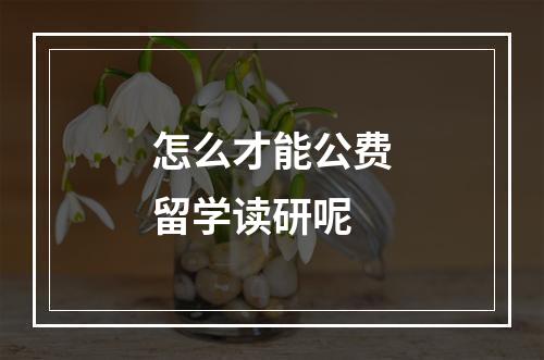 怎么才能公费留学读研呢