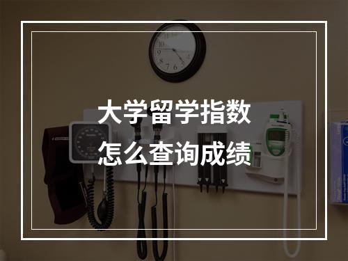 大学留学指数怎么查询成绩