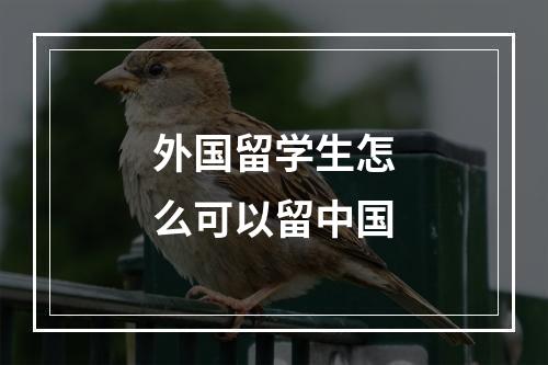 外国留学生怎么可以留中国