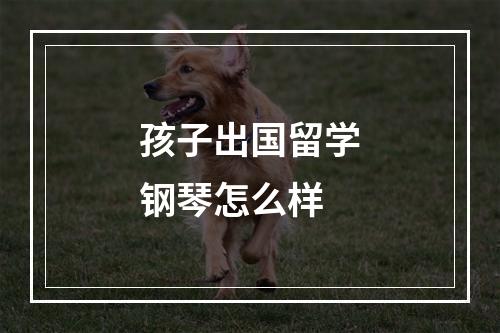 孩子出国留学钢琴怎么样