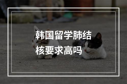 韩国留学肺结核要求高吗