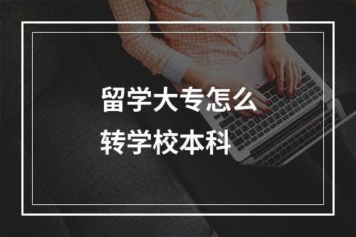 留学大专怎么转学校本科