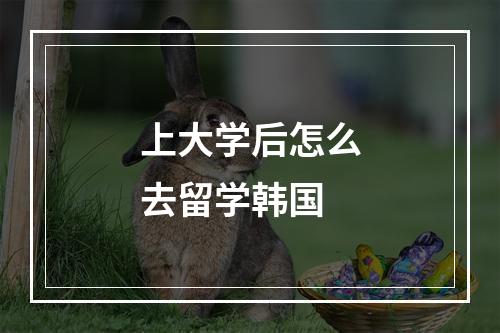 上大学后怎么去留学韩国