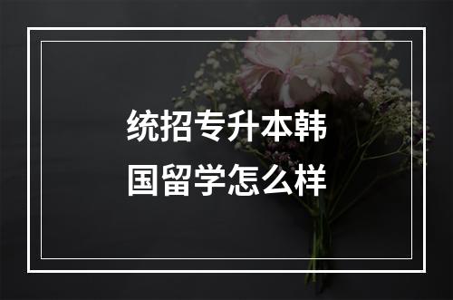 统招专升本韩国留学怎么样