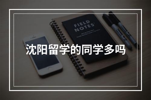 沈阳留学的同学多吗