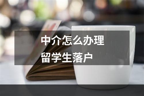 中介怎么办理留学生落户