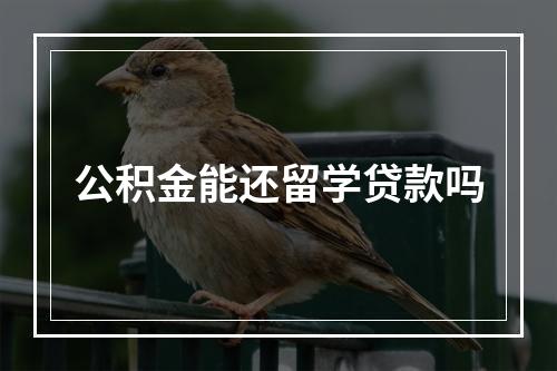 公积金能还留学贷款吗