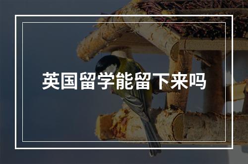 英国留学能留下来吗