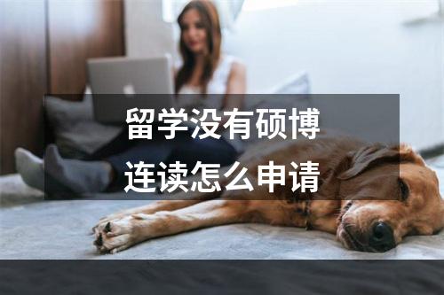 留学没有硕博连读怎么申请