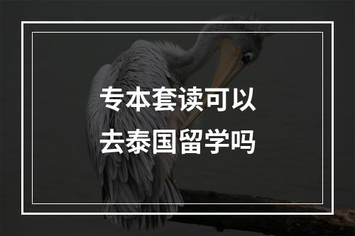 专本套读可以去泰国留学吗