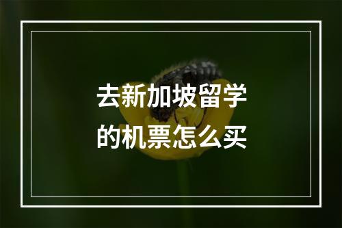 去新加坡留学的机票怎么买