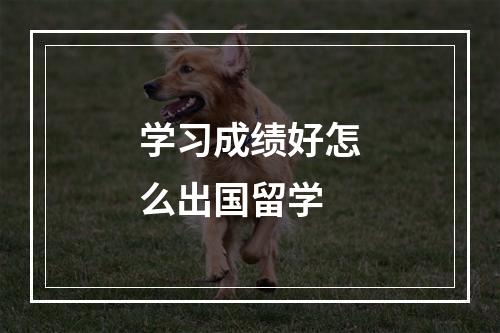 学习成绩好怎么出国留学