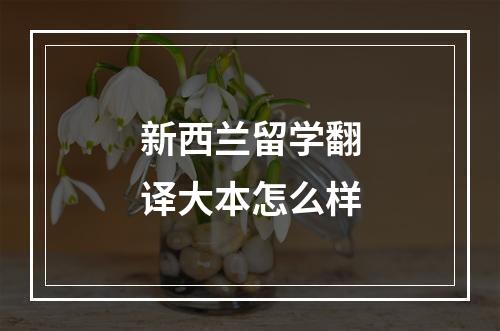 新西兰留学翻译大本怎么样