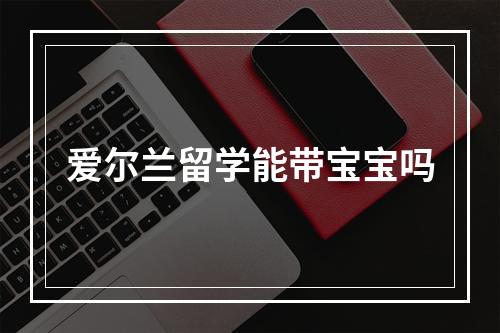 爱尔兰留学能带宝宝吗