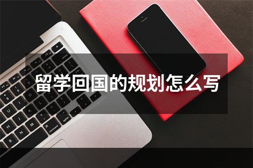 留学回国的规划怎么写