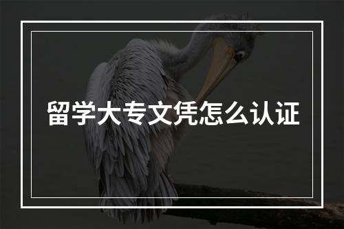 留学大专文凭怎么认证