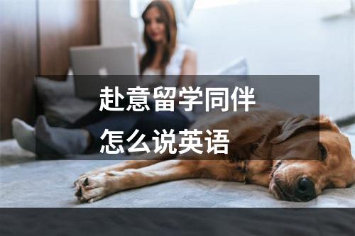 赴意留学同伴怎么说英语